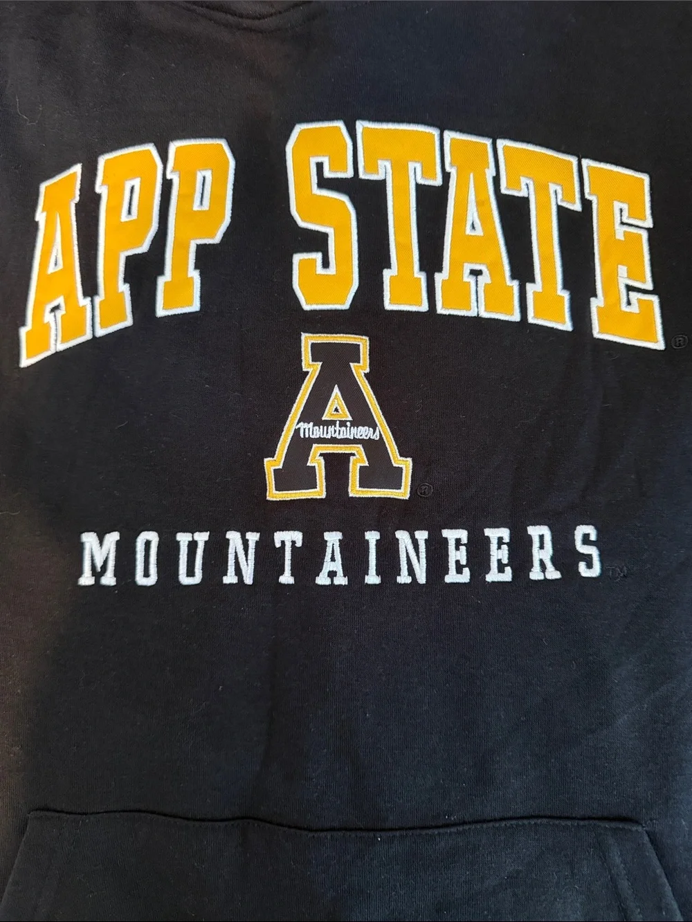 App State Colosseum Hoodie - Picture 3 of 5